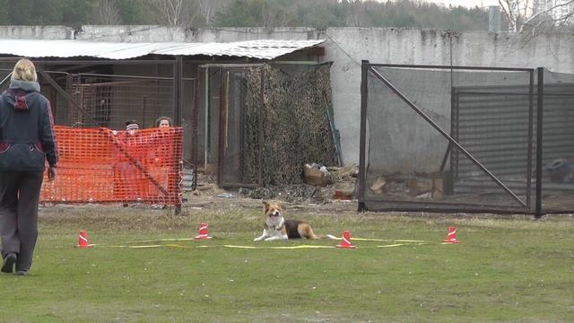 КСС "Кузьминки"-обидиенс 20.04.2013. смотреть онлайн