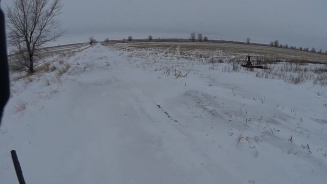 15) Шустрик 27.12.2015 г.mov смотреть онлайн