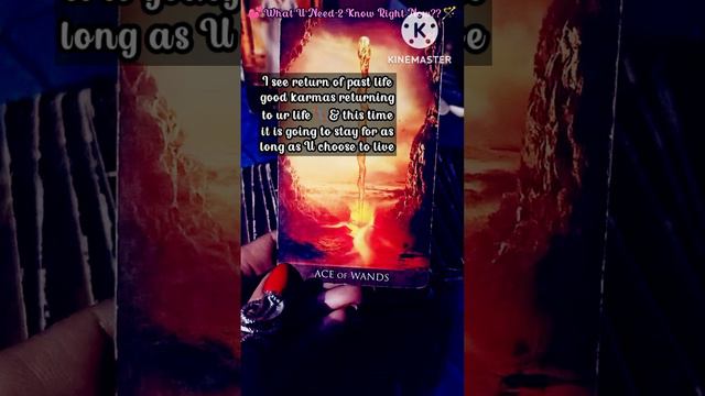 🍀🪶Return Of Past Life Good Karmas🔂🪄 смотреть онлайн