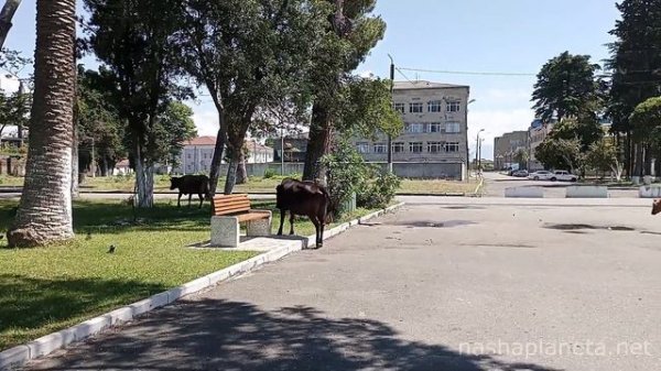 Очамчира в Абхазии - что за курорт и стоит ли туда ехать