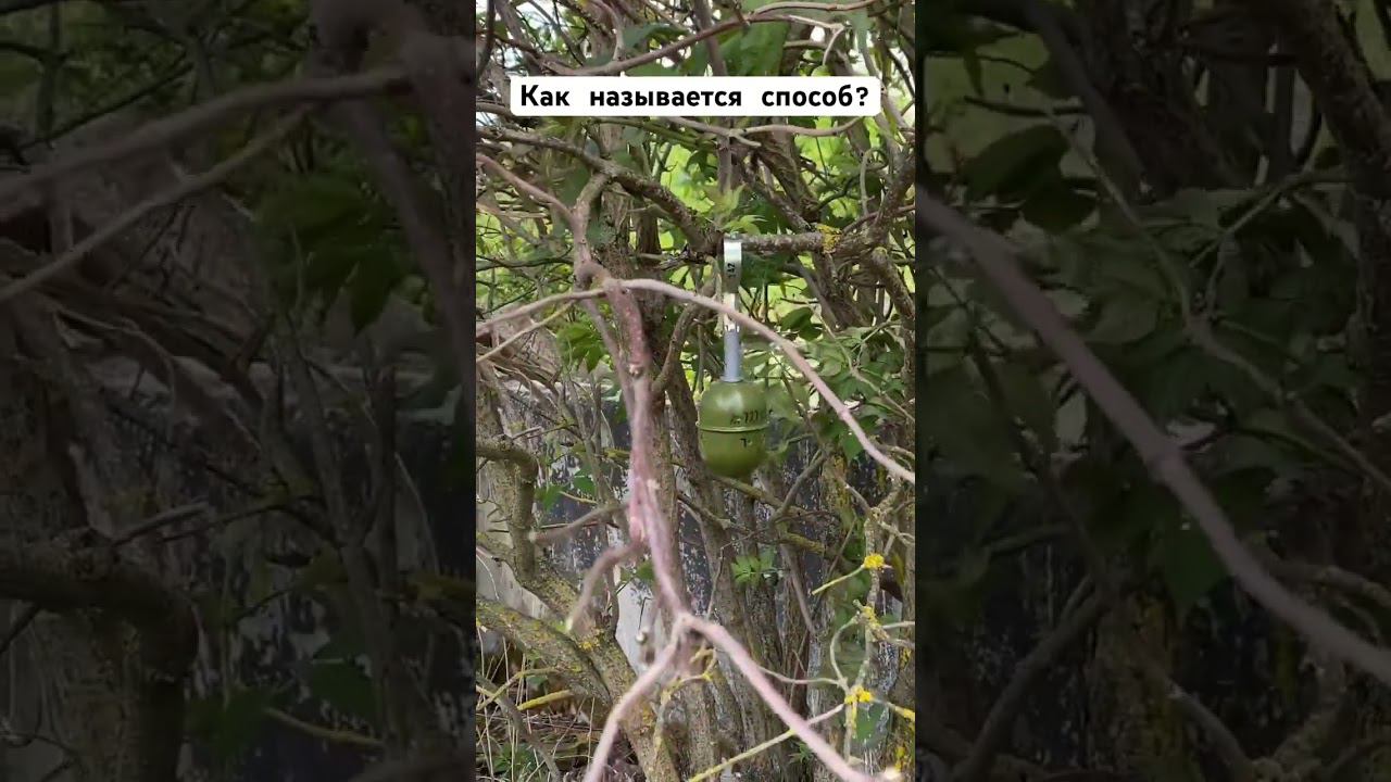 РГД5 на ветке #airsoft #replica #fake смотреть онлайн