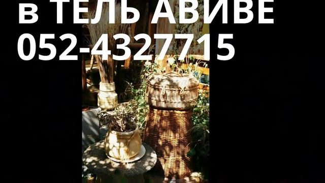 052-4327715 Организовать место на Мальчишник в сауне в ТЕЛЬ АВИВЕ סאונה בתל-אביב смотреть онлайн