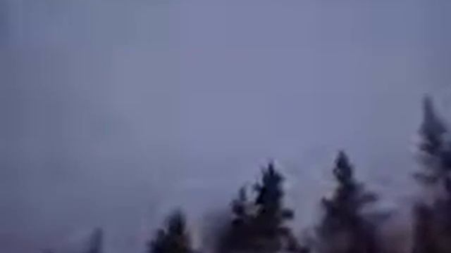 Журавли летят на юг. смотреть онлайн