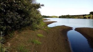 Рыбалка на спиннинг и проверка закидушек. Алтайский край, река Чумыш. Заринск.