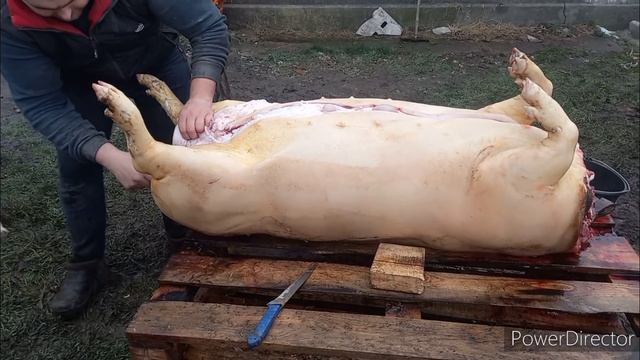 Розделка свинной туши в домашних условиях. Совет мясника?
