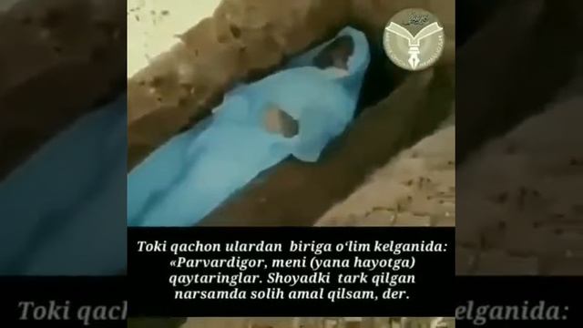 Shukurullo Domla Fergana Toshloq