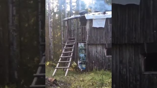 Ночь в избе жарим хариуса ночной лай собак менты ищут труп лесу 18+ смотреть онлайн