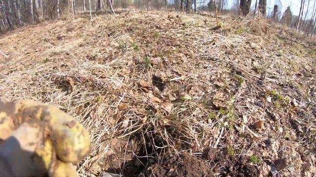 Реальный коп по старине в заброшенной деревне. Коп монет с металлоискателем. Хорошее видео коп 2021 смотреть онлайн