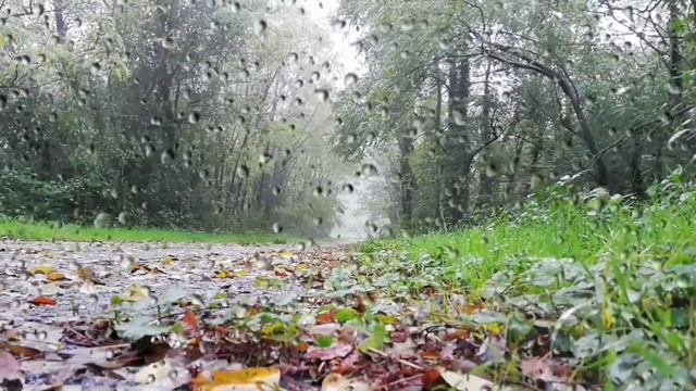 Великолепная расслабляющая музыка дождя, для отдыха и сна. Успокоит нервы и восстановит силы смотреть онлайн