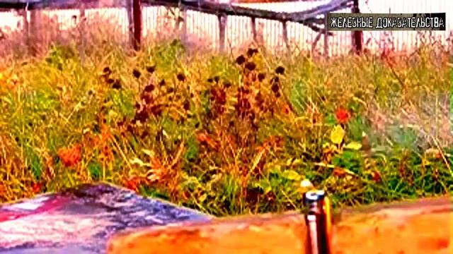 Железные Доказательства [Promo 720 HD] смотреть онлайн