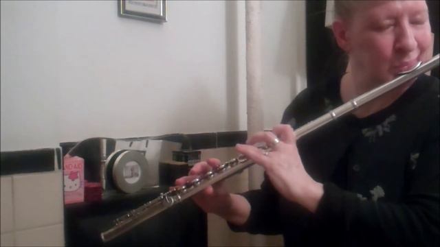 BEYOND FLUTE , SOLO CHERYL PYLE -C FLUTE /ALTO FLUTE FRIDAY APRIL 9 , 2021 смотреть онлайн