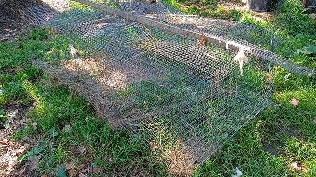Старая клетка для кроликов - доделать или сделать новую. Получила рогом в глаз смотреть онлайн