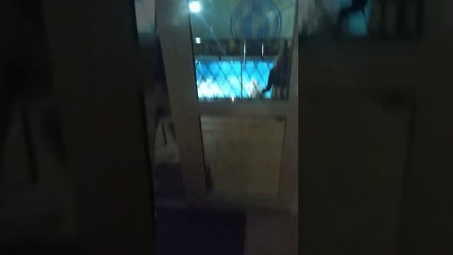 Голубая бухта. Отель Палладион. Отдых с детьми на берегу черного моря смотреть онлайн