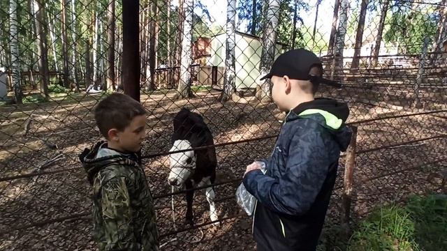 СК Курганово , спорт, отдых, природа , рыбалка на Верхнемакаринском вод..., под Екатеринбургом. смотреть онлайн
