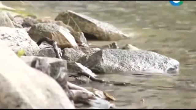 В РОССИИ НАШЛИ МЕСТО, ГДЕ ИСКРИВЛЯЕТСЯ ПРОСТРАНСТВО. АНОМАЛЬНЫЕ ЗОНЫ. . Имена древних богов. смотреть онлайн