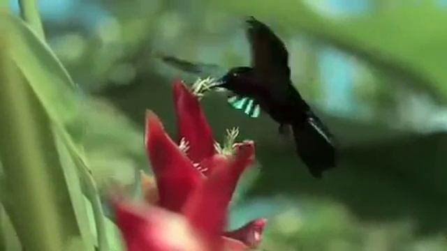 Стихотворение "Великий, Всемогущий Бог" автор Черепанов Артём смотреть онлайн