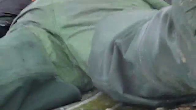 Так ловят лебедей смотреть онлайн