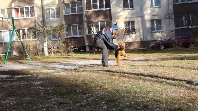 Атенаис 24 11 2021