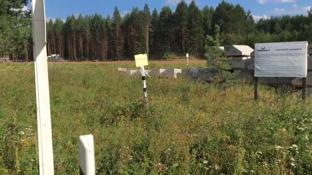 Россия Архангельская область ж.д.ст. Виледь пригород города Котлас река Виледь август лета 2023/753 смотреть онлайн