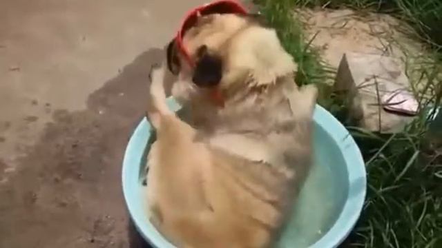 Это люди которые любят отдыхать смотреть онлайн