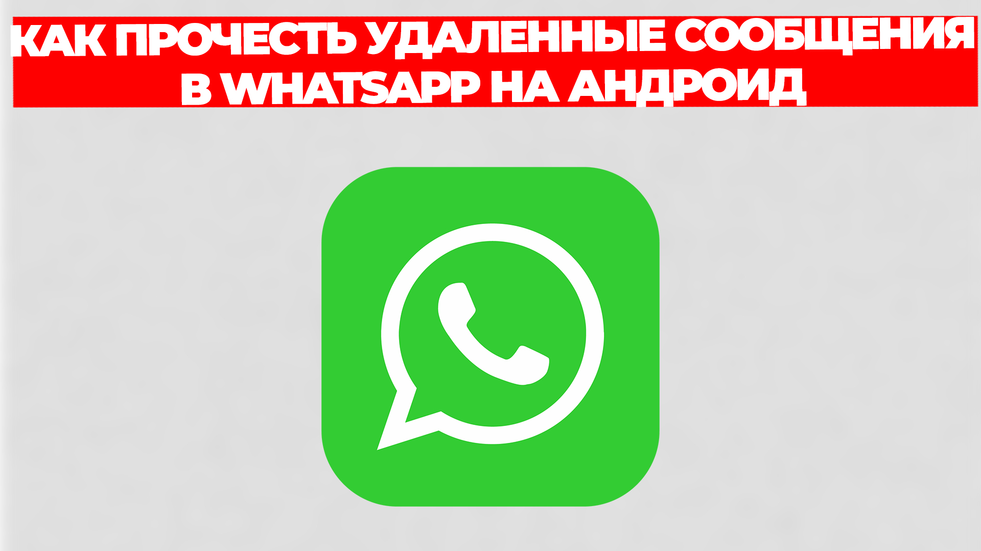 Всезнающий Енот