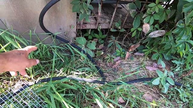 ДАЛ ВОЗДУХ В КАНАЛИЗАЦИЮ,результат смотреть онлайн