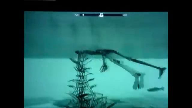 SKYRIM - myth 1 - skeleton under whiterun's bridge. смотреть онлайн
