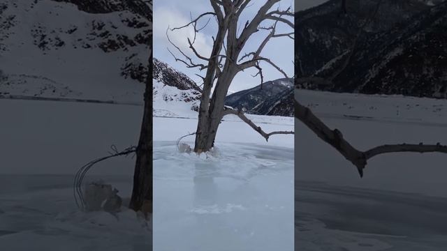 яичница на природе)#горы#осетия#джипинг смотреть онлайн