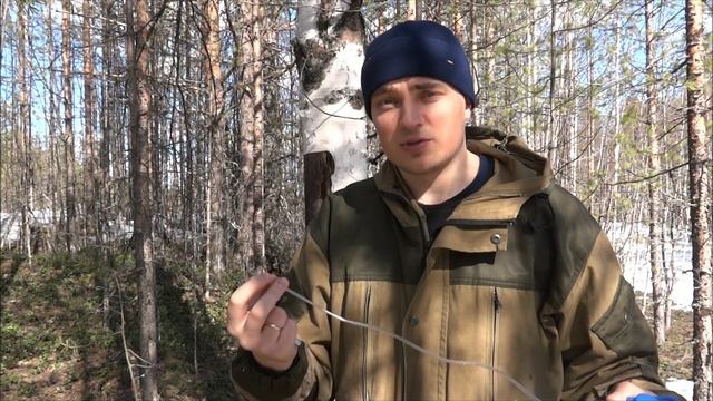 СОБИРАЕМ БЕРЁЗОВЫЙ СОК ПРАВИЛЬНО / How To Collect Birch SAP Correctly?