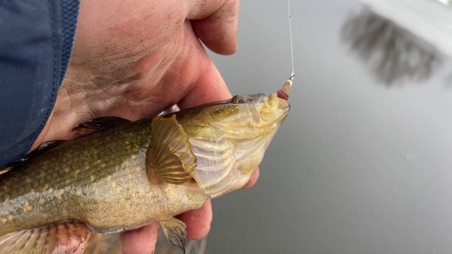 Вот так и рыбалка по ловле ротана смотреть онлайн