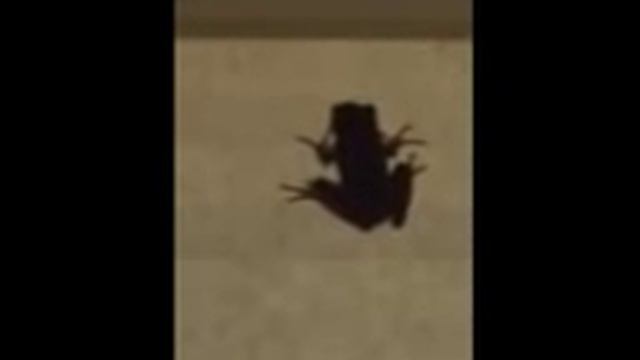 Lightning Bug Frog смотреть онлайн