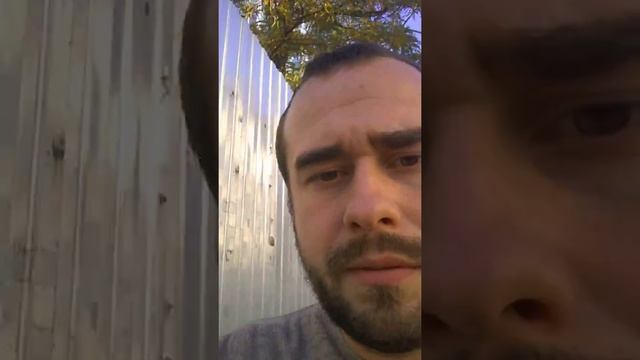 Заборы смотреть онлайн