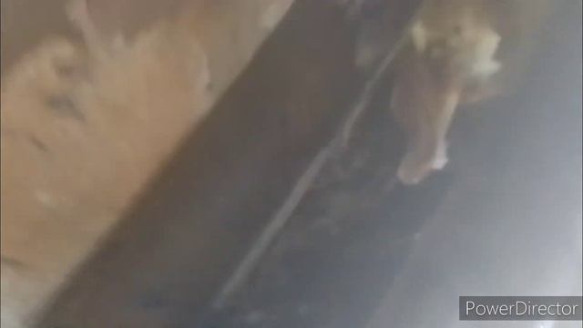 Борис Михайлович варит с водой. меняем врезки ? смотреть онлайн