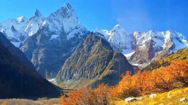 Даже учёные были шокированы,узнав от чего на самом деле погиб Сергей Бодров-младший!! смотреть онлайн