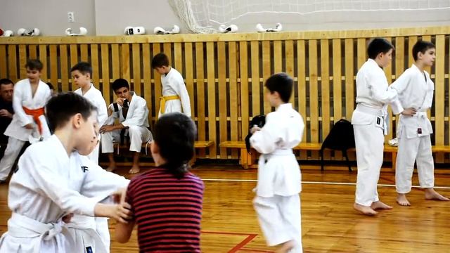 Как мастер спорта по карате сетокан стала женщиной года Ставрополя смотреть онлайн