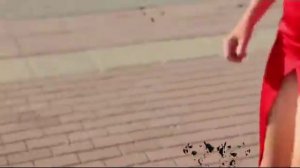 DJ Shantel - Disco Disco Partizani