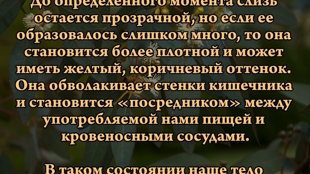 Слизь в организме. Откуда берётся, чем опасна и как выводить
