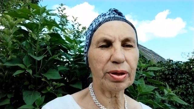 Топинамбур на моём участке. смотреть онлайн