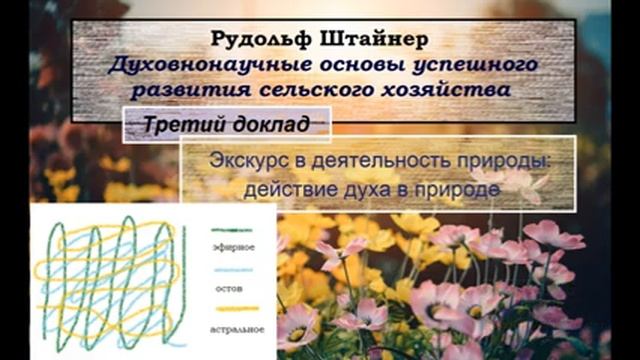Рудольф Штайнер. GA 327. Экскурс в деятельность природы: действие духа в природе. смотреть онлайн