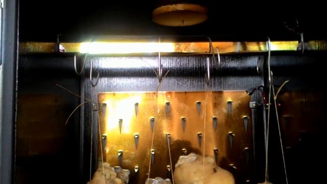 Холодное копчение свиных рулек в коптильне COSMOGEN CSFE-750. смотреть онлайн