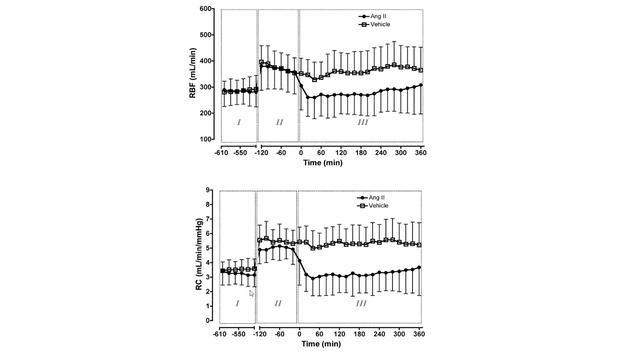 The physiology of angiotensin II Rinaldo Bellomo