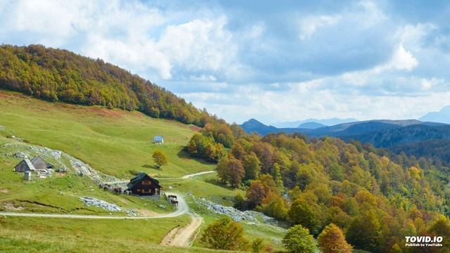 10. Аудио урок для взрослых дифференциация звук Р - Рь. смотреть онлайн