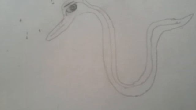 Как нирисовать червичка? {Magij Worms} (Я хз как правильно писать) смотреть онлайн