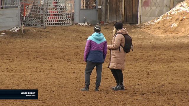 Конный спорт - в программе "Дело ведет Мур-р-р" смотреть онлайн