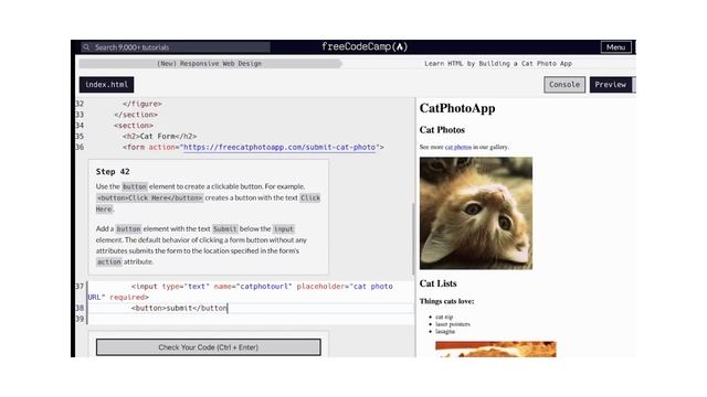 Building a Cat Photo App: FreeCodeCamp HTML Basics - Section 1 Responsive Web Design Walkthrough смотреть онлайн