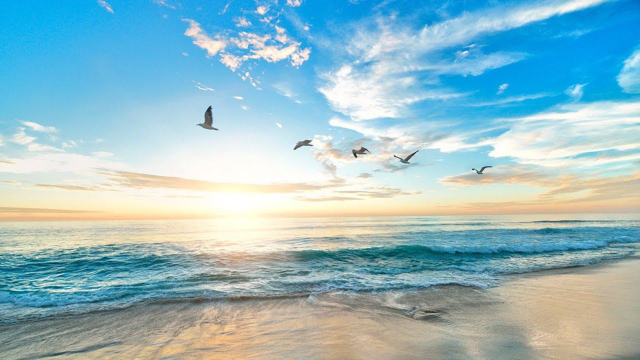 Dive Into Relaxation With The Soothing Sea Sounds