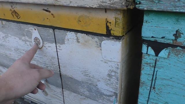 Самодельные летковые заградители. Для круглого летка смотреть онлайн