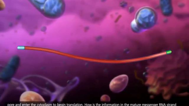 Транскрипция мен Трансляция | қазақша смотреть онлайн