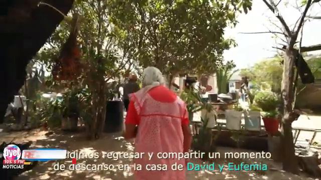 #EnVivo | #OyeNoticias #matehuala смотреть онлайн