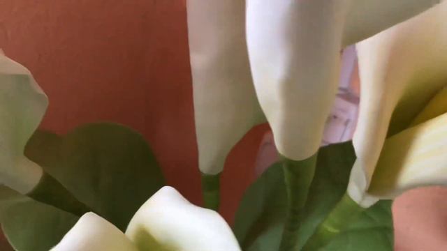 Цветок на все случаи жизни. смотреть онлайн